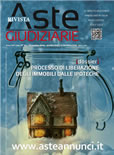 Rivista di aste giudiziarie - 13