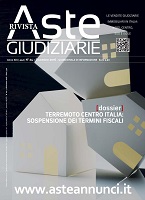 Rivista di aste giudiziarie - 13