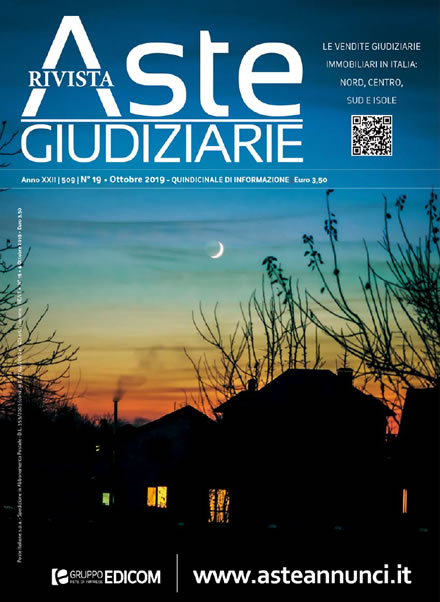 Rivista di aste giudiziarie - 11