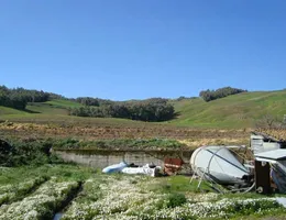 Aste giudiziarie tribunale agrigento online - 4