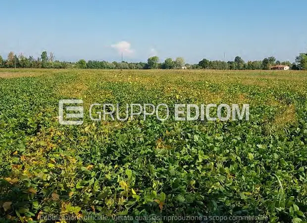 Terreno in San Biagio di Callalta - 1