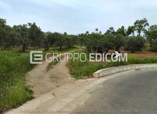 Terreno in Viale della Libertà in C/da Cozza-Torchiata SNC - 1