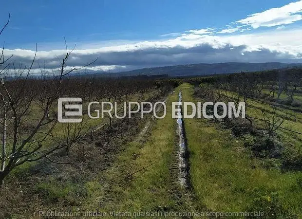 Terreno in Frazione  C.da Cammarata - Piano Sanguisughe - 1